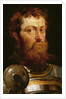 The Commander's Head by Peter Paul Rubens