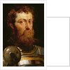 The Commander's Head by Peter Paul Rubens