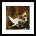 Still life with a dead swan, c.1651 by Jan Baptist Weenix