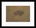 Buffalo in a Sandstorm by Albert Bierstadt