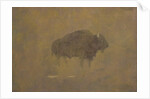 Buffalo in a Sandstorm by Albert Bierstadt