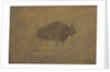Buffalo in a Sandstorm by Albert Bierstadt
