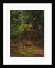 Deer in Repose, 1867 by Rosa Bonheur
