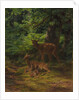 Deer in Repose, 1867 by Rosa Bonheur