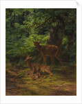 Deer in Repose, 1867 by Rosa Bonheur