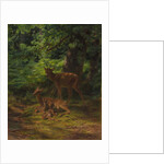 Deer in Repose, 1867 by Rosa Bonheur