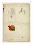 Beautiful Groups of Pines; Tints from Maples, New Hampshire, September 30th 1828 by Thomas Cole