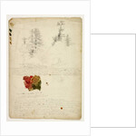 Beautiful Groups of Pines; Tints from Maples, New Hampshire, September 30th 1828 by Thomas Cole