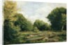 Clearing in the Woods, 1865 by Pierre Auguste Renoir