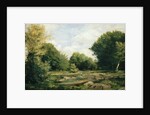 Clearing in the Woods, 1865 by Pierre Auguste Renoir