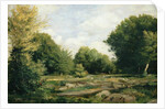 Clearing in the Woods, 1865 by Pierre Auguste Renoir