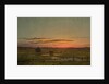 Sunset, c.1880 by Martin Johnson Heade