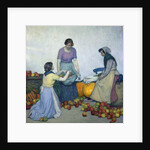 Apples, c.1914 by Myron G. Barlow