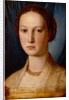 Costanza da Sommaia, c.1540 by Agnolo di Cosimo Bronzino