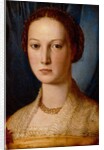 Costanza da Sommaia, c.1540 by Agnolo di Cosimo Bronzino
