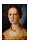 Costanza da Sommaia, c.1540 by Agnolo di Cosimo Bronzino