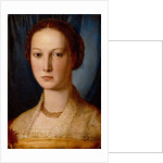 Costanza da Sommaia, c.1540 by Agnolo di Cosimo Bronzino