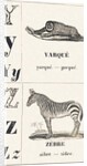 Y Z: Yarque — Zebra, 1850 by Louis Simon Lassalle