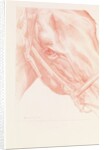 Portrait Head, 2012 by Emma Kennaway