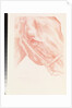 Portrait Head, 2012 by Emma Kennaway
