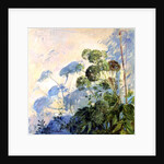 Angelica Shadows by Timothy Easton