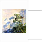 Angelica Shadows by Timothy Easton