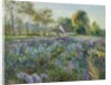 October Delphiniums by Timothy Easton