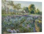 October Delphiniums by Timothy Easton