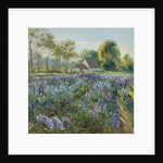 October Delphiniums by Timothy Easton