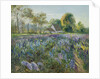 October Delphiniums by Timothy Easton