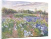 Sunsparkle on Irises, 1996 by Timothy Easton