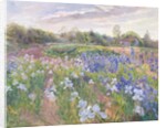Sunsparkle on Irises, 1996 by Timothy Easton