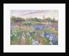 Sunsparkle on Irises, 1996 by Timothy Easton