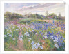 Sunsparkle on Irises, 1996 by Timothy Easton