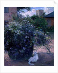 Bee Watching by Timothy Easton