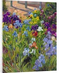 Irises and Summer House Shadows, 1996 by Timothy Easton