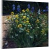 Oxeye Daisies Against the Irises by Timothy Easton