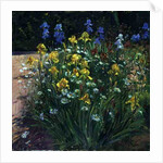 Oxeye Daisies Against the Irises by Timothy Easton