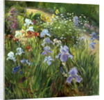 Irises and Oxeye Daisies, 1997 by Timothy Easton