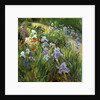 Irises and Oxeye Daisies, 1997 by Timothy Easton