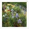 Irises and Oxeye Daisies, 1997 by Timothy Easton