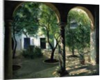 Shaded Courtyard, Vianna Palace, Cordoba by Timothy Easton