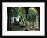 Shaded Courtyard, Vianna Palace, Cordoba by Timothy Easton