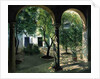 Shaded Courtyard, Vianna Palace, Cordoba by Timothy Easton