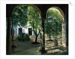 Shaded Courtyard, Vianna Palace, Cordoba by Timothy Easton