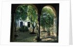 Shaded Courtyard, Vianna Palace, Cordoba by Timothy Easton