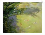 Featherplay by Timothy Easton