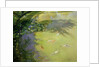 Featherplay by Timothy Easton