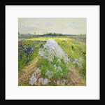 Down the Line, 1995 by Timothy Easton