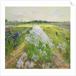 Down the Line, 1995 by Timothy Easton